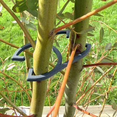 OMEGA 2 - Kẹp đôi giữ cây trồng