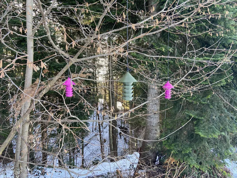 Máng ăn cho chim nhỏ - Image 6