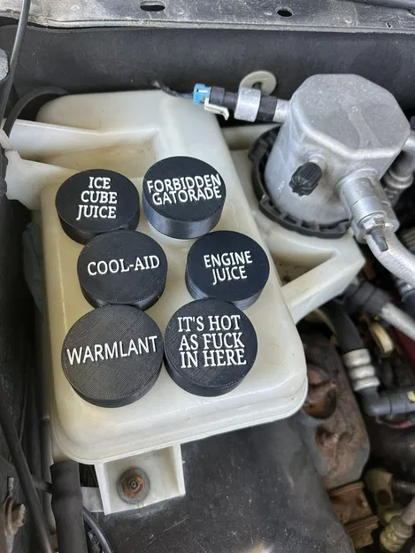 Nắp Chụp Bình Nước Làm Mát Coolant Overflow Tank Cap Cover - Image 1