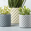 Chậu Cây Họa Tiết Quilted Kim Cương - Thumbnail 1