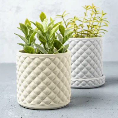 Chậu Cây Họa Tiết Quilted Kim Cương