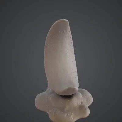 Tác phẩm điêu khắc Trăng Khuyết – Mô hình trưng bày mặt trăng huyền ảo