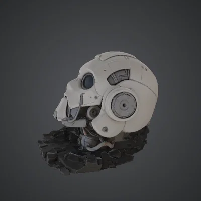 Đầu Robot Bại Trận – Di Vật Sci-Fi