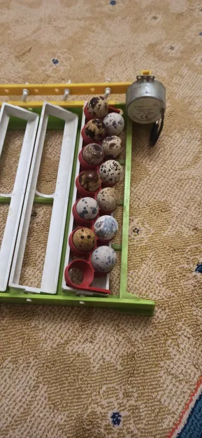 Khay Đỡ Trứng Cút Tương Thích Hệ Thống Máy Ấp Cimuka - Image 1