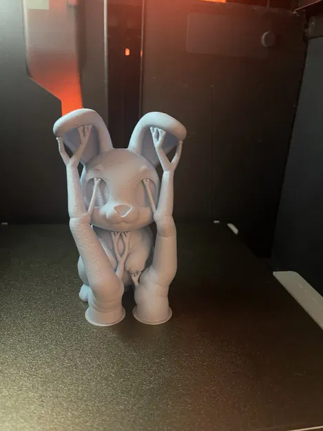 Bộ đôi thỏ xinh xắn – BUTTON & FLOP - Không cần AMS! - Image 6