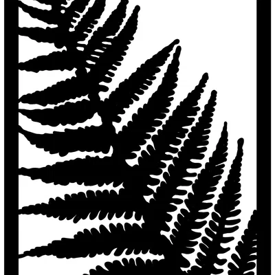 Tấm trang trí tường họa tiết lá dương xỉ (Fern Wall Art) 3D