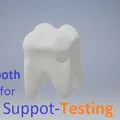 Mô hình răng 3D dùng kiểm tra support khi in 3D - Thumbnail 1