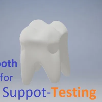 Mô hình răng 3D dùng kiểm tra support khi in 3D