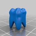 Mô hình răng 3D dùng kiểm tra support khi in 3D - Thumbnail 2