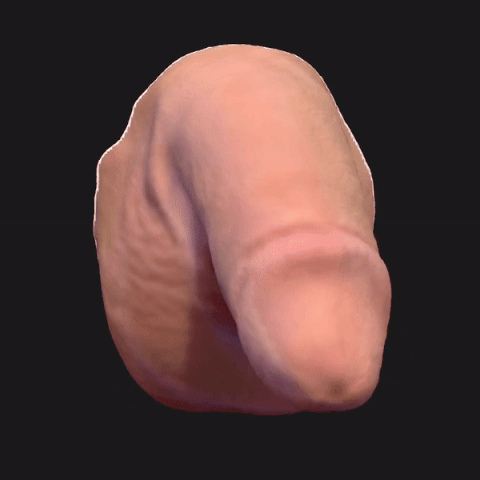 Mô hình 3D khuôn đúc dương vật thực tế (File STL) - Image 2