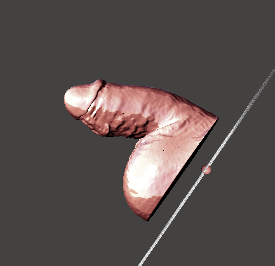 Mô hình 3D khuôn đúc dương vật thực tế (File STL) - Image 3