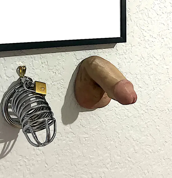 Mô hình 3D khuôn đúc dương vật thực tế (File STL) - Image 4