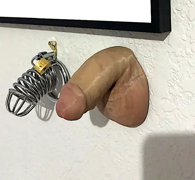 Mô hình 3D khuôn đúc dương vật thực tế (File STL) - Image 5