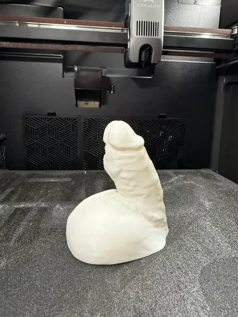 Mô hình 3D khuôn đúc dương vật thực tế (File STL) - Image 7