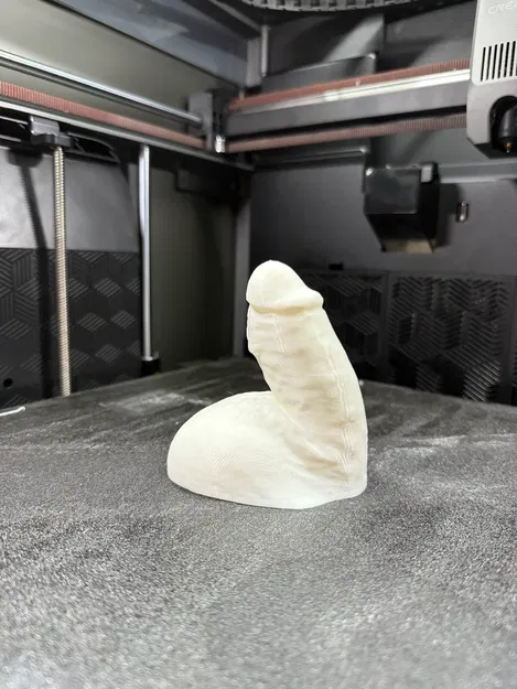 Mô hình 3D khuôn đúc dương vật thực tế (File STL) - Image 8