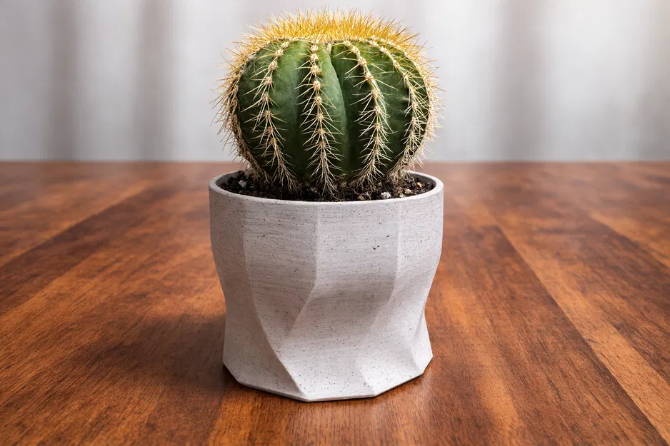 Chậu Cây Hình Học Đa Diện - Image 2