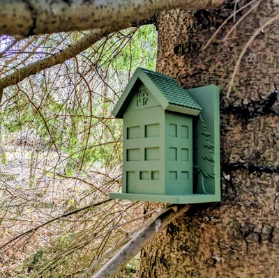 Hộp đựng Geocache: Ngôi nhà trong rừng