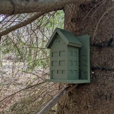 Hộp đựng Geocache: Ngôi nhà trong rừng