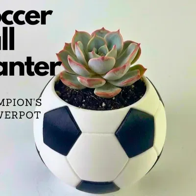 Chậu Trồng Cây Hình Quả Bóng Đá (Soccer Ball Planter)