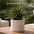 Diamond Pot: Chậu cây họa tiết kim cương in 3D sang trọng - Thumbnail 1