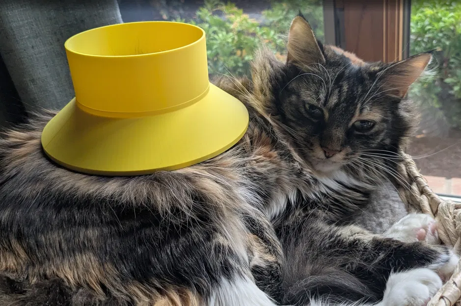 [MỚI] Mô hình còi Mini 2/2T! (ĐÃ CẢI TIẾN HOÀN TOÀN) - Image 11