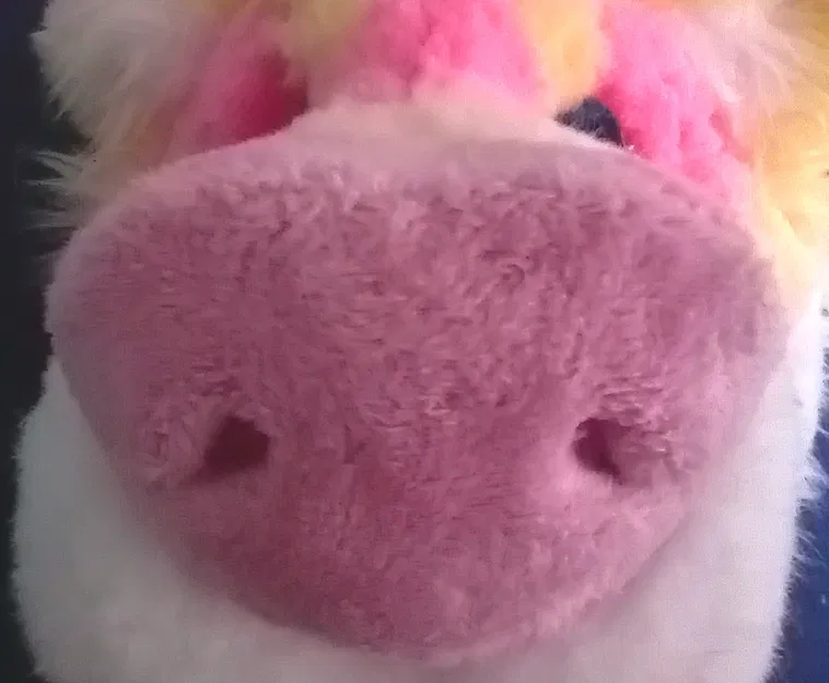 Mô hình mũi chó 3D (Pickable fursuit nose) cho Fursuit hoàn hảo - Image 2