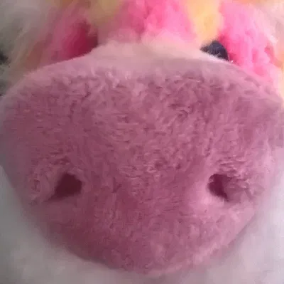 Mô hình mũi chó 3D (Pickable fursuit nose) cho Fursuit hoàn hảo