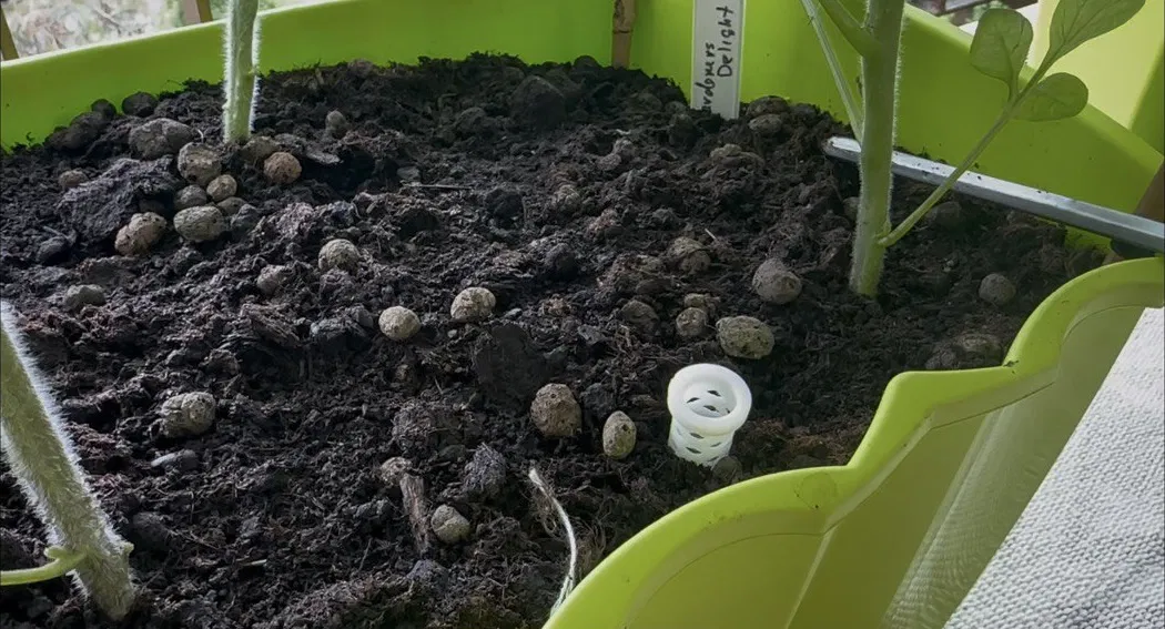 Ống thông khí cho chậu cây trồng trong đất - Image 2