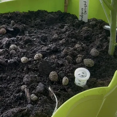 Ống thông khí cho chậu cây trồng trong đất