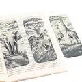 Bộ kẹp sách hình động vật hoang dã Savanna - Thumbnail 1
