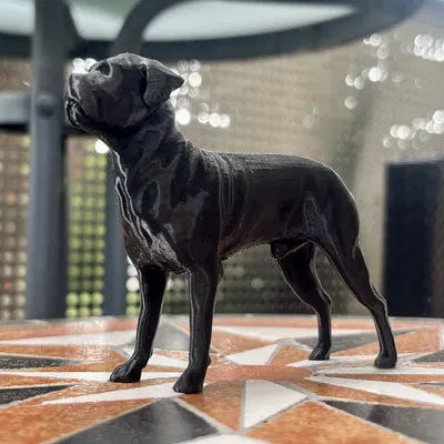 Mô hình tượng chó Cane Corso Mastiff - File in 3D nghệ thuật