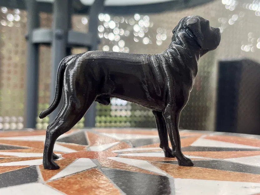 Mô hình tượng chó Cane Corso Mastiff - File in 3D nghệ thuật - Image 2
