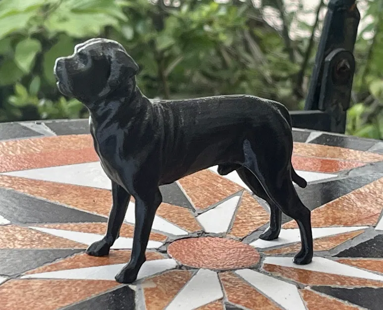 Mô hình tượng chó Cane Corso Mastiff - File in 3D nghệ thuật - Image 3
