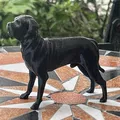 Mô hình tượng chó Cane Corso Mastiff - File in 3D nghệ thuật - Thumbnail 3