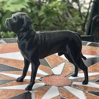Mô hình tượng chó Cane Corso Mastiff - File in 3D nghệ thuật