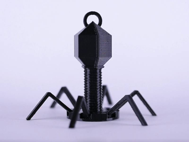 Mô hình đồ chơi để bàn/móc khóa Bacteriophage có khớp nối - Image 1