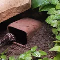 Hang Trú Ẩn Dưới Lòng Đất Cho Bò Sát (Underground Reptile Hide) - Thumbnail 2