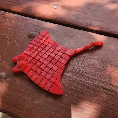 Mô hình cá đuối Flexi Manta Ray linh hoạt, dễ in 3D