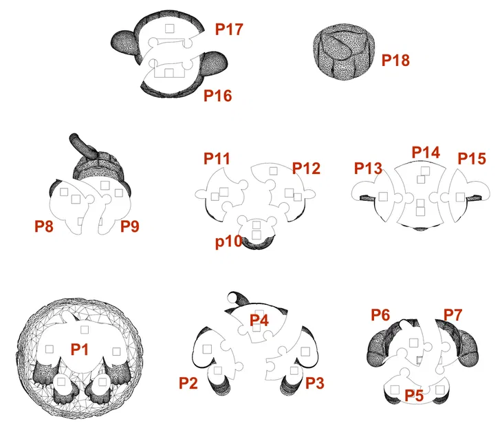 Mô hình chú khỉ 3D dạng mảnh ghép (18 phần) - In 3D độc đáo - Image 3
