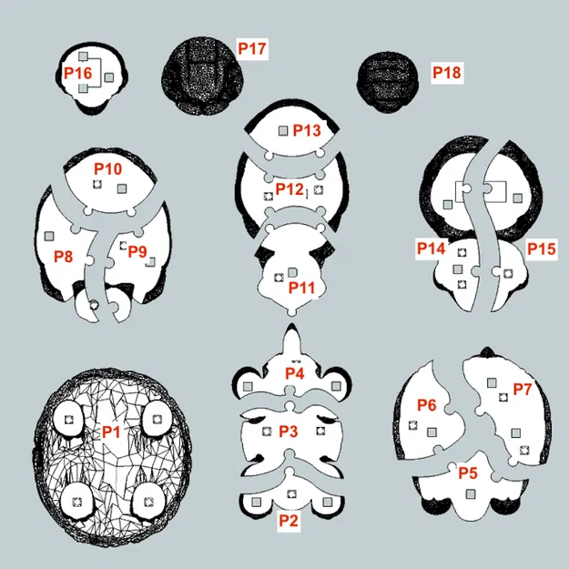 Mô hình rùa lắp ghép 3D (3D Tortue puzzle) 18 mảnh độc đáo - Image 3