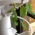 Tháp Trồng Cây Thủy Canh Modular (Modular Hydroponic Tower Garden) - Thumbnail 10