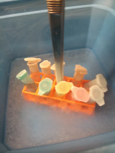 Giá đỡ Eppendorf, ống nghiệm và cuvette 10-30 vị trí (In 3D) - Image 2