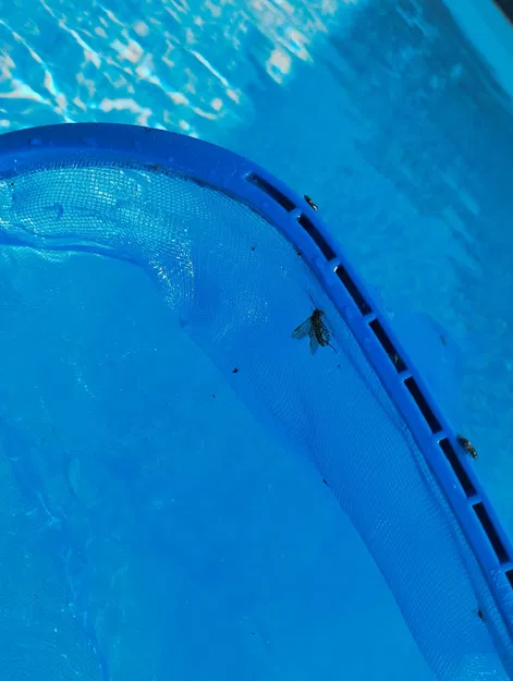 Tay cầm Skimmer cho hồ bơi Bestway - điều chỉnh độ cao không cần dụng cụ - Image 4