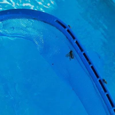 Tay cầm Skimmer cho hồ bơi Bestway - điều chỉnh độ cao không cần dụng cụ