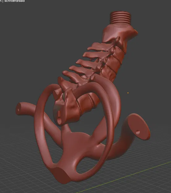 Giá treo tường hình cột sống cho mô hình sọ người - Image 3