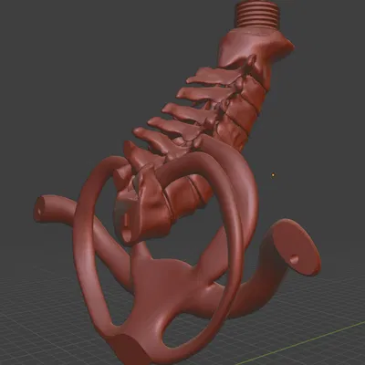 Giá treo tường hình cột sống cho mô hình sọ người