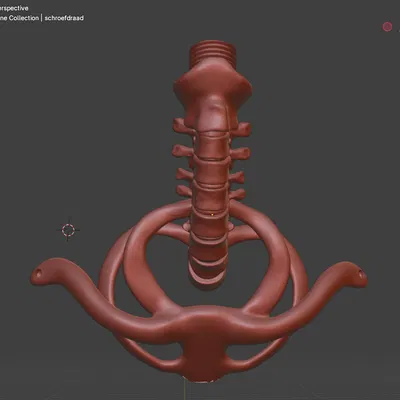 Giá treo tường hình cột sống cho mô hình sọ người