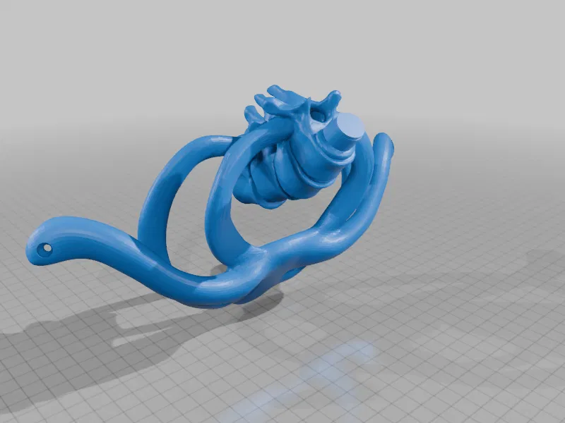 Giá treo tường hình cột sống cho mô hình sọ người - Image 7