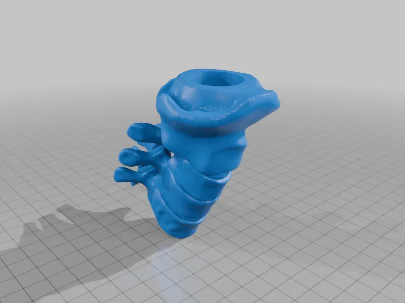 Giá treo tường hình cột sống cho mô hình sọ người - Image 10