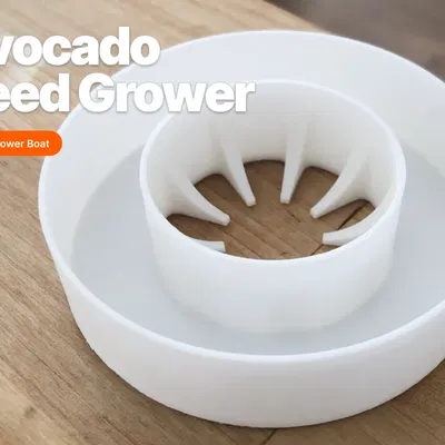 Phao ươm hạt bơ (Avocado Seed Grower) tiện lợi, dễ in 3D